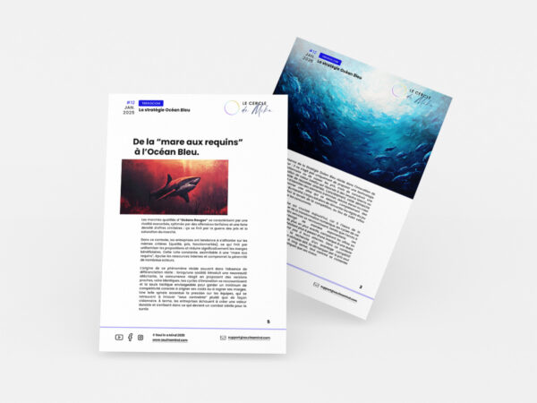 #12 - La stratégie Océan Bleu - Édito TrendCom